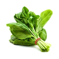Palak Spinach Bunch