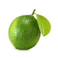 Lime