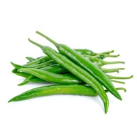 Indian Green Chilli