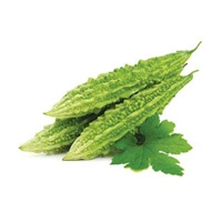 Karela Bitterguard