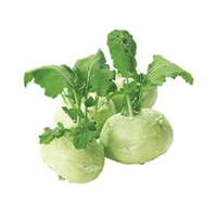 Kohlrabi Nool Col