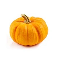 Pumpkin Orange Slice