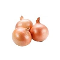 Onion White